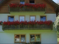 Appartement Pension Grasser