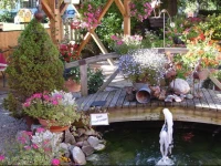 Wanderhotel GrГјner Baum