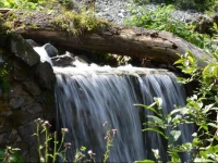 Appartementhaus Brixnerwirt