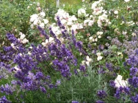 Appartement Ferienhof Ortnergut