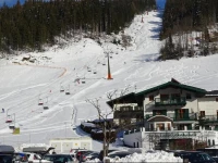 Ferienwohnung GrГјnwald