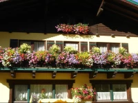 Ferienwohnungen Passrugger