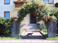 GГ¤stehaus Margit Miklautsch