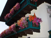 Pension Haus am Dorfplatz