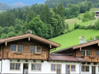 Chalet Chalet Steiner 1