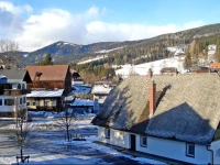 Holiday home Vulgo Reich Hirschegg