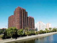 Jinqiao International Apartment 3*