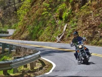 Toms JГ¤gerhГјtte zum Platzhirsch