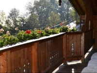 Kaltenbach Holiday Home 2