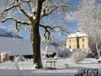 Pension Villa Blumegg