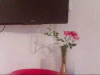 Appartment Christine