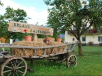 Ferienhof Ressmann-Tratnik