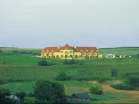 Das RГ¶merstein - die WohlFГјhlOase