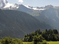 Landhaus Stefanie Mayrhofen