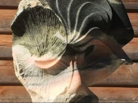 Appartement GyГ¶ri.