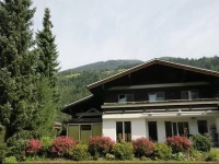 Apartment Wildalmblick