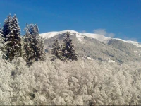 Appartement Wildkogel