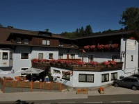Hotel Berggasthof Schwaighofwirt 3*