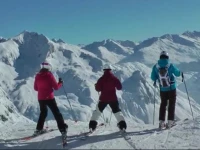 Haus Diel Rose - Helen