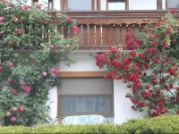 Appartementhaus StГ¶llinger