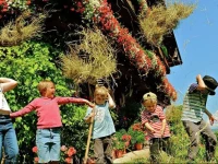 Apartment Sonnenblick 1