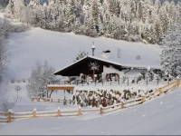 Chalet Kitzbichl
