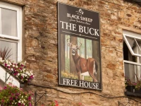 The Buck Hotel
