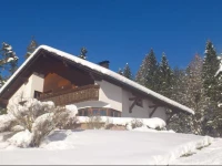 Apartment Gertrud Flatz