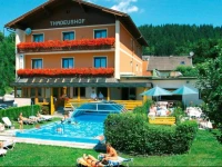 Hotel Restaurant Thadeushof 3*