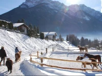 Kassnhof - der Reit- und Ponybauernhof
