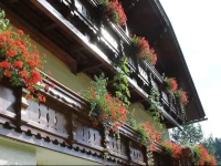 Apartment GГ¤stehaus Pernull 3