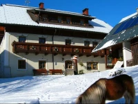 Historischer Bauernhof Schabus