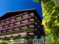 Alpin - Das Sporthotel