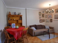 Apartment CENTRAL - Zell am See