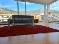 Penthouse Ari bei Alpen Apartments