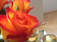 Apartment Vienna Living