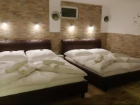 Manuela Apartment Vienna