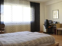 One-Bedroom Apartment near the Opera