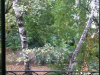 Schottenfeld Apartment