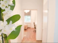 Urban Flats Vienna Danube