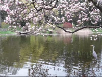 Vienna Green Apartment