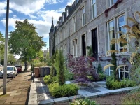 Jenya Properties - Forest Road