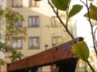 Entis Residencia Universitaria