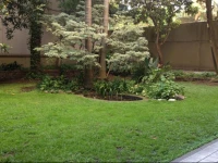 Large Apartment with Terrace in San Telmo