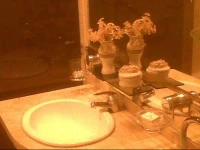 Oro Plaza Apartamentos