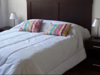 Recoleta Studio Rodriguez PeГ±a