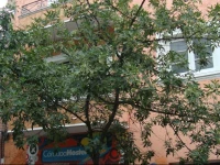 Cordoba Hostel