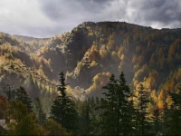 CabaГ±as TГЎ PГ©fka