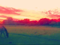 Hotel De Campo Los Cardales