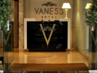 Hotel Vaness 3*